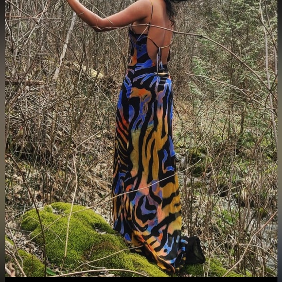 FABIENNE DRESS Rat & Boa XS Like new only worn once for a photoshoot - Picture 7 of 8